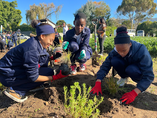 Sustainable Schools home